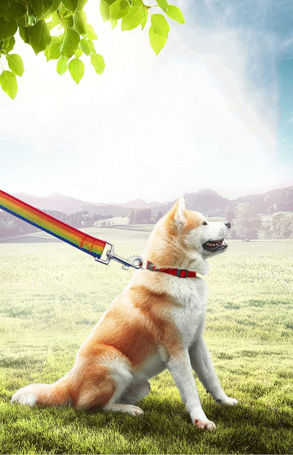 15Ft 20Ft 30Ft 40Ft 50Ft Long Dog/Puppy Lead Obedience Recall Training Dog Leashes for Small Medium Dogs Camping, Training, Play, or Backyard (20 FT, Rainbow)