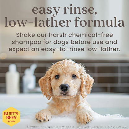 Tearless Puppy Shampoo with Buttermilk, 95% Natural Origin Formulas, Shampoo for Puppies - Gentle Dog and Puppy Shampoo Tear Free, Best Puppy Shampoo Tearless, 32 Oz