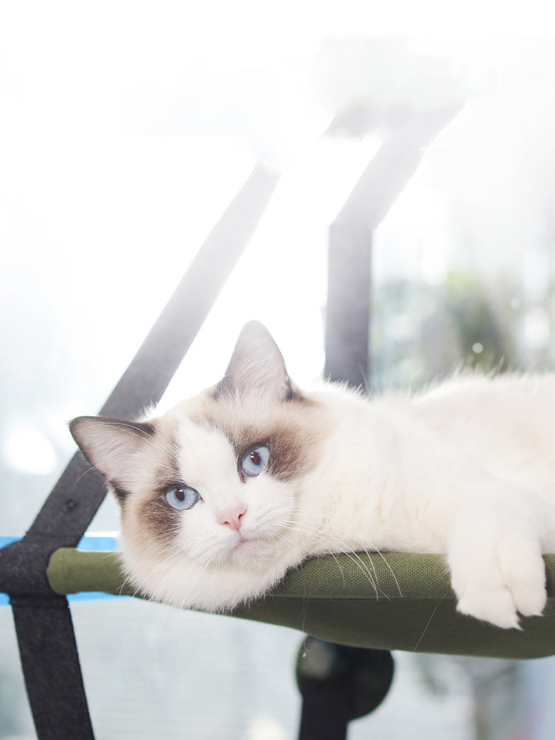Window Cat Hammock with Suction Cup, Foldable Bed