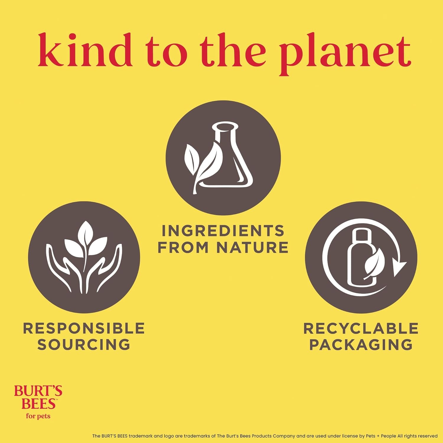 Tearless Puppy Shampoo with Buttermilk, 95% Natural Origin Formulas, Shampoo for Puppies - Gentle Dog and Puppy Shampoo Tear Free, Best Puppy Shampoo Tearless, 32 Oz