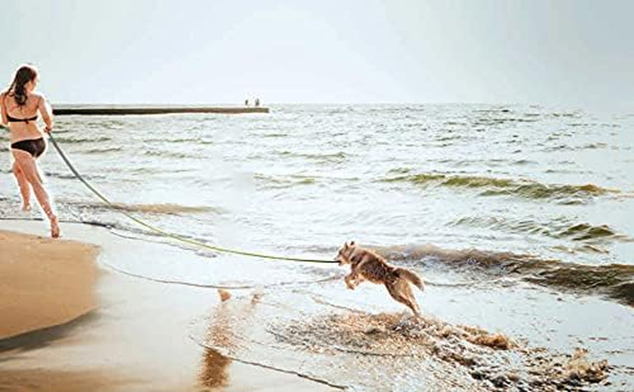 15Ft 20Ft 30Ft 40Ft 50Ft Long Dog/Puppy Lead Obedience Recall Training Dog Leashes for Small Medium Dogs Camping, Training, Play, or Backyard (20 FT, Rainbow)