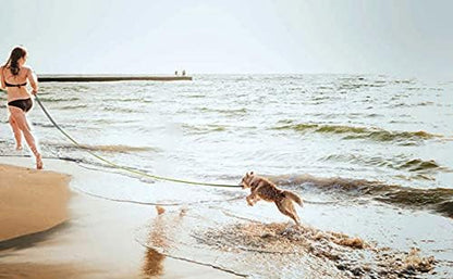 15Ft 20Ft 30Ft 40Ft 50Ft Long Dog/Puppy Lead Obedience Recall Training Dog Leashes for Small Medium Dogs Camping, Training, Play, or Backyard (20 FT, Rainbow)